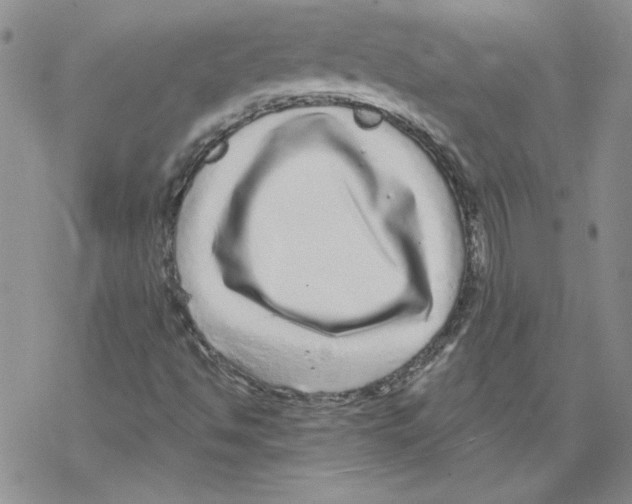 X0000067921494200605111955