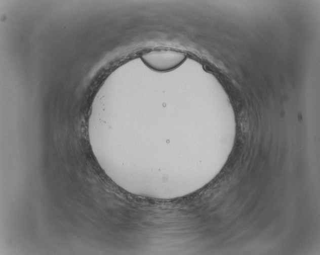 X0000067921495200605111955