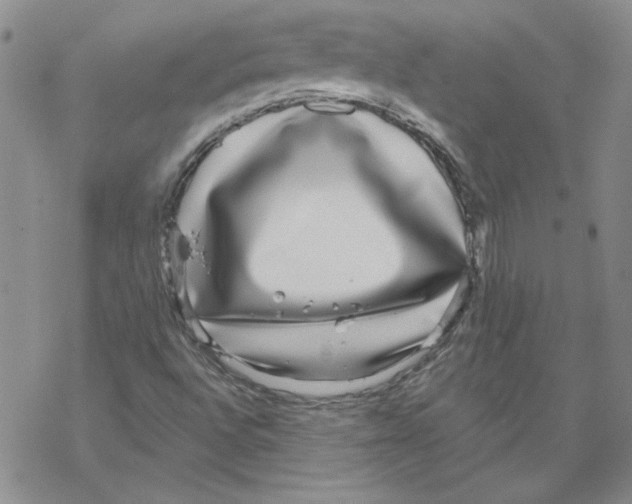 X0000067921496200605111955