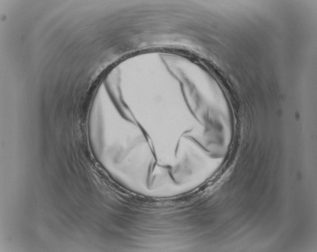 X0000067921497200605111955