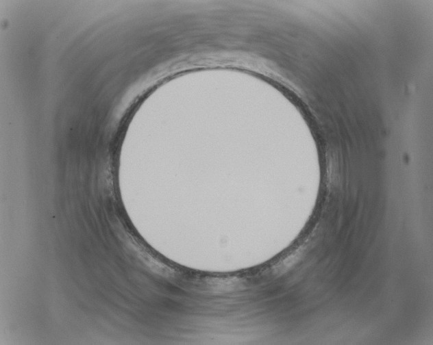 X0000067921498200605111955