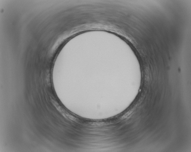 X0000067921499200605111955