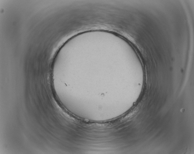 X0000067921500200605111955