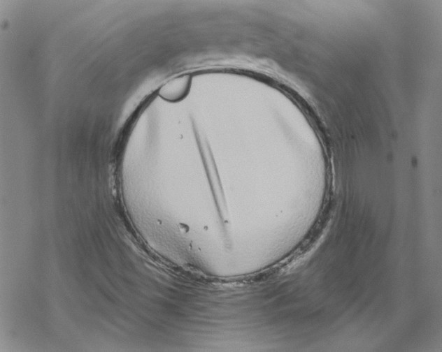 X0000067921501200605111955