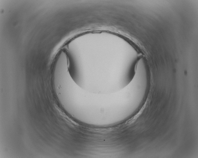 X0000067921502200605111955