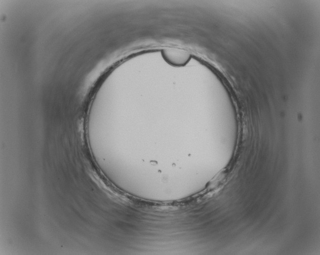 X0000067921503200605111955