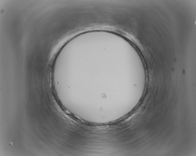 X0000067921504200605111955