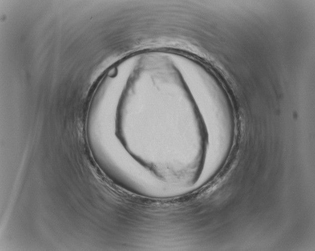 X0000067921505200605111955