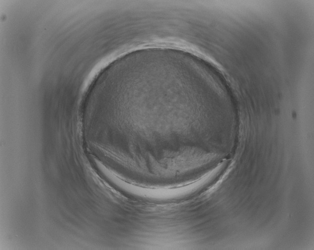 X0000067921506200605111955