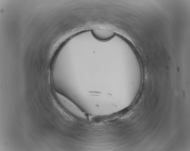 X0000067921507200605111955