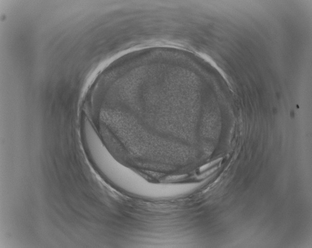 X0000067921508200605111955