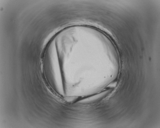 X0000067921509200605111955