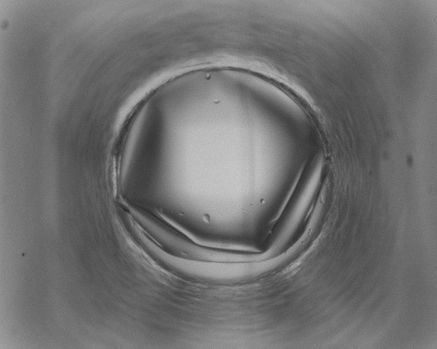 X0000067921510200605111955