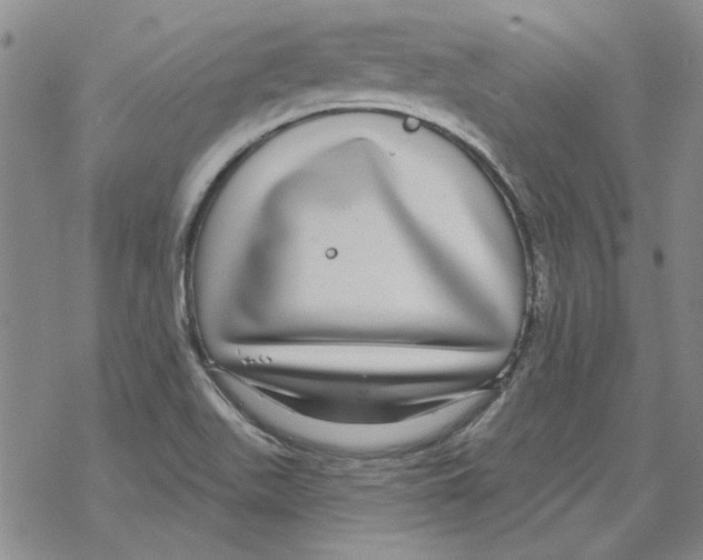 X0000067921511200605111955