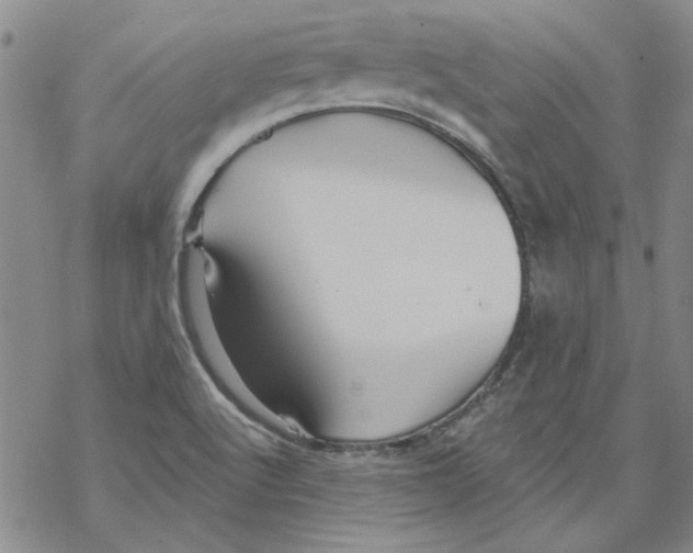 X0000067921512200605111955