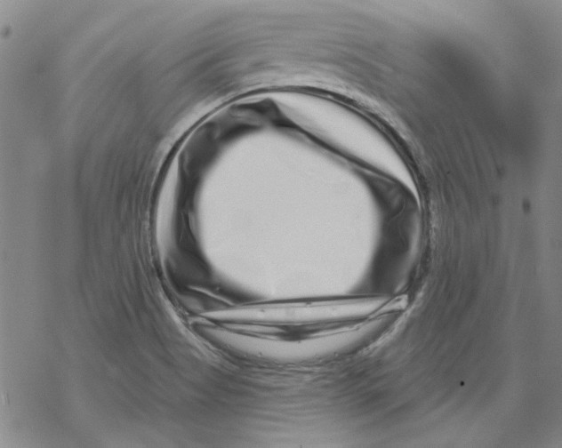 X0000067921513200605111955