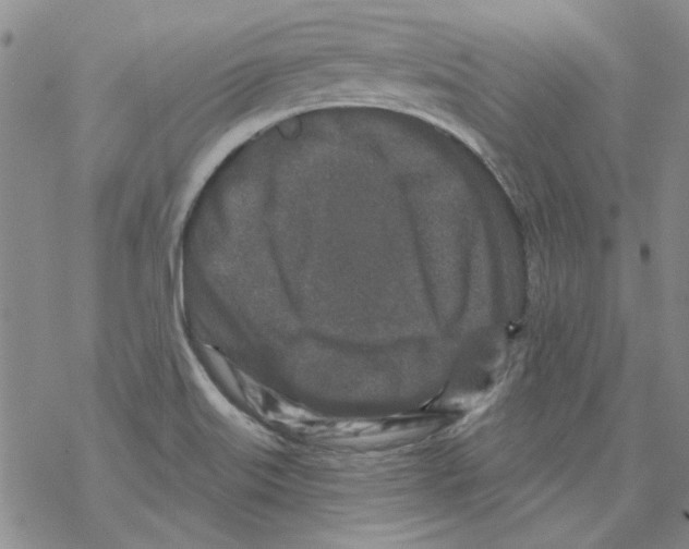 X0000067921515200605111955