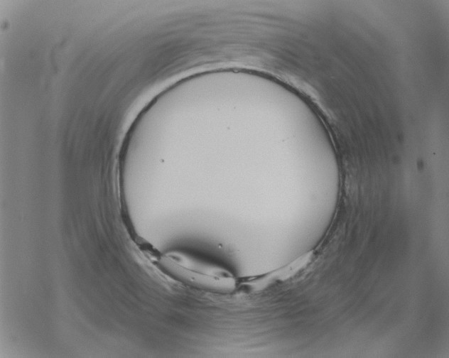 X0000067921516200605111955