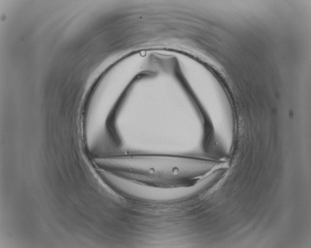 X0000067921517200605111955