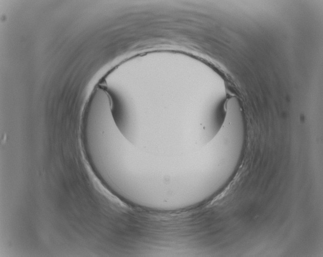 X0000067921518200605111955