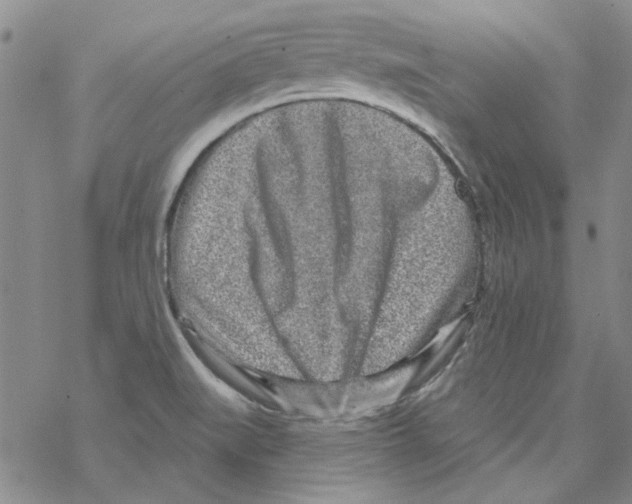 X0000067921519200605111955