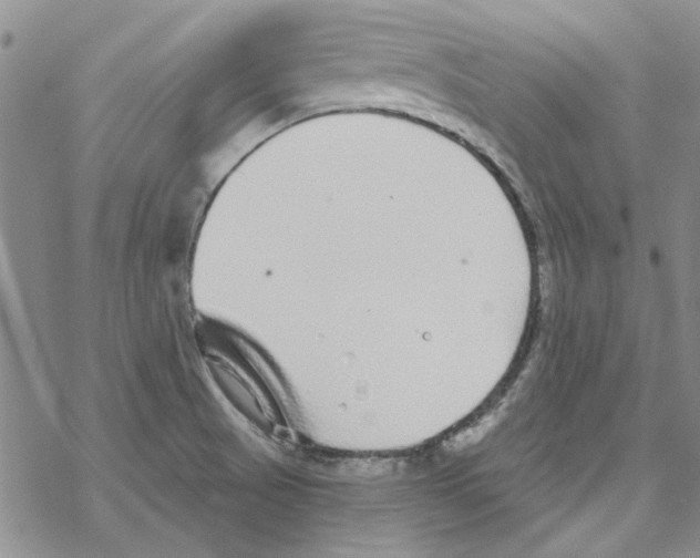 X0000067921521200605111955