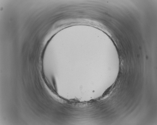 X0000067921523200605111955