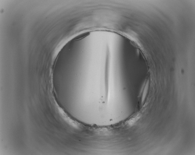 X0000067921524200605111955