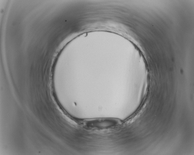 X0000067921525200605111955