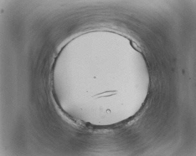 X0000067921526200605111955