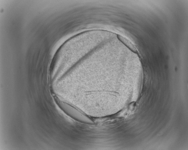 X0000067921527200605111955