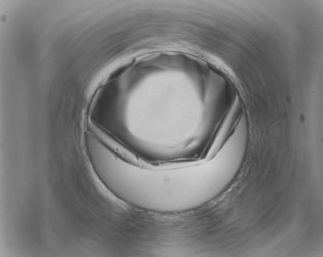 X0000067921528200605111955