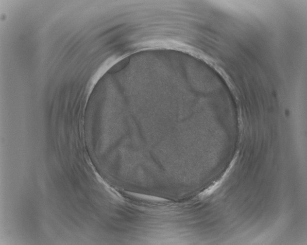 X0000067921529200605111955