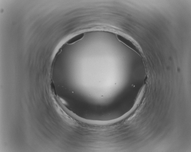 X0000067921530200605111955