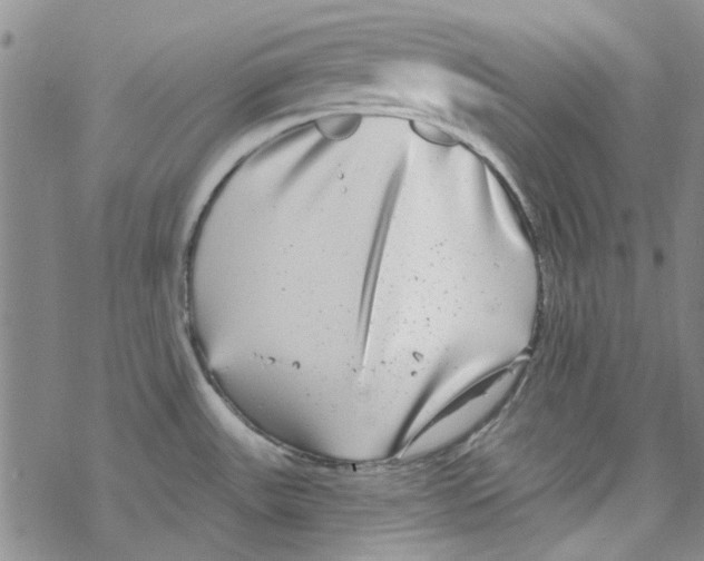 X0000067921531200605111955