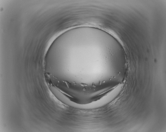 X0000067921532200605111955