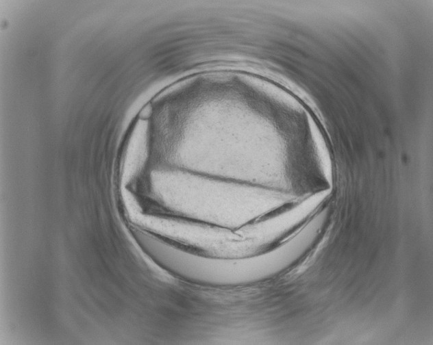 X0000067921533200605111955