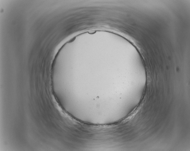 X0000067921534200605111955