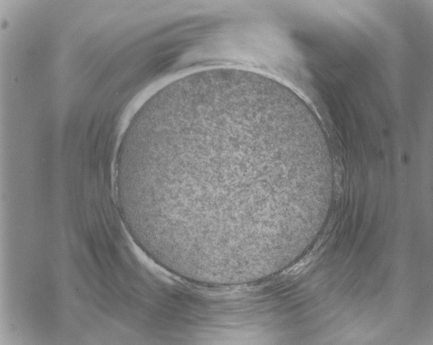 X0000067921535200605111955