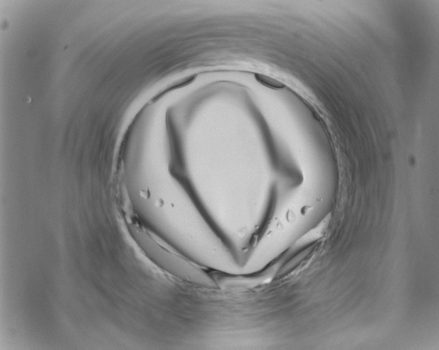 X0000067921536200605111955