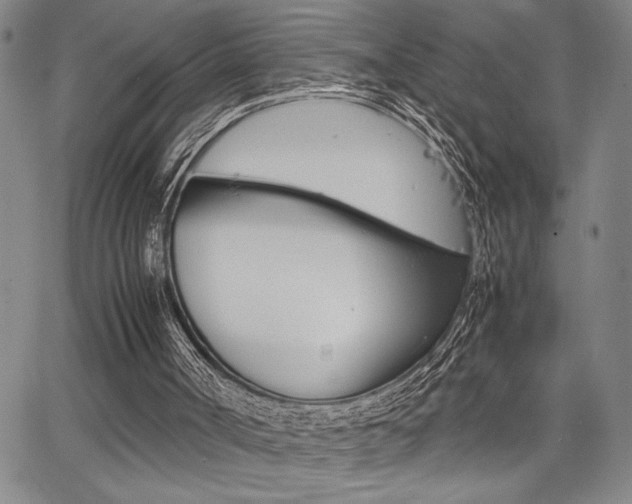 X0000067930002200604131118