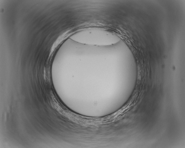 X0000067930004200604131118