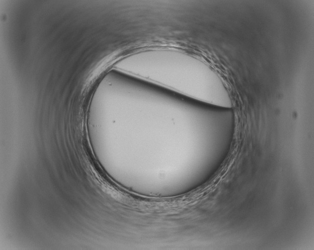 X0000067930005200604131118