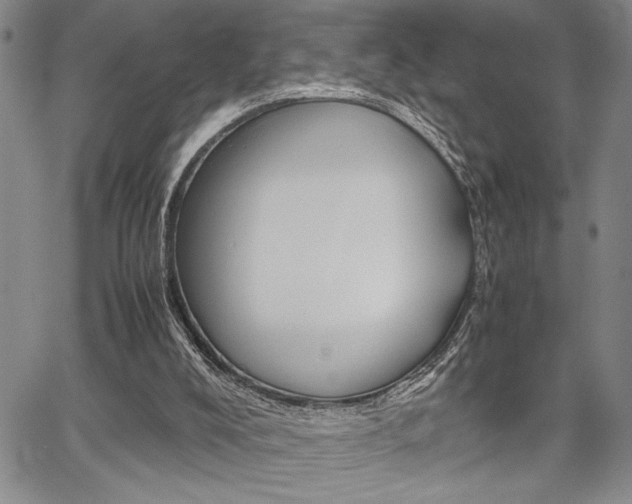 X0000067930008200604131118