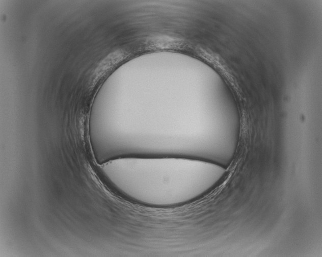 X0000067930010200604131118