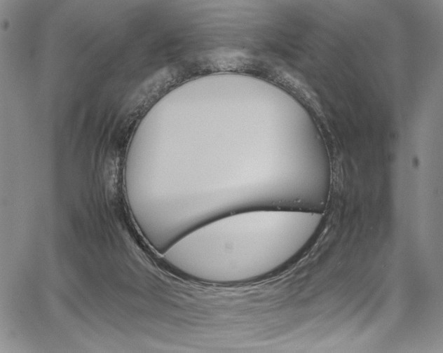 X0000067930018200604131118