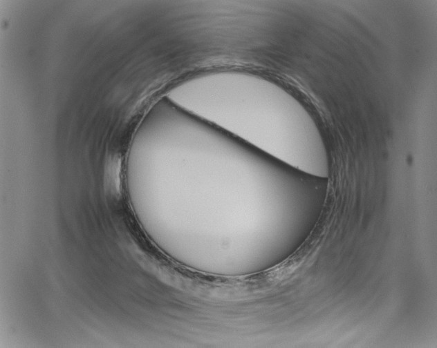 X0000067930024200604131118