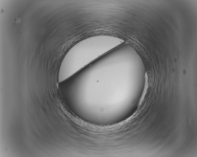 X0000067930047200604131117