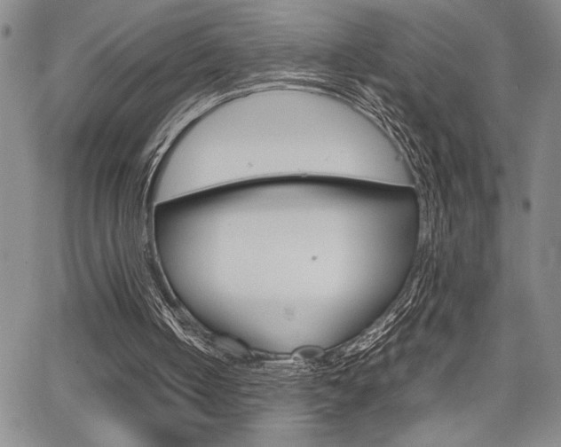 X0000067930050200604131116