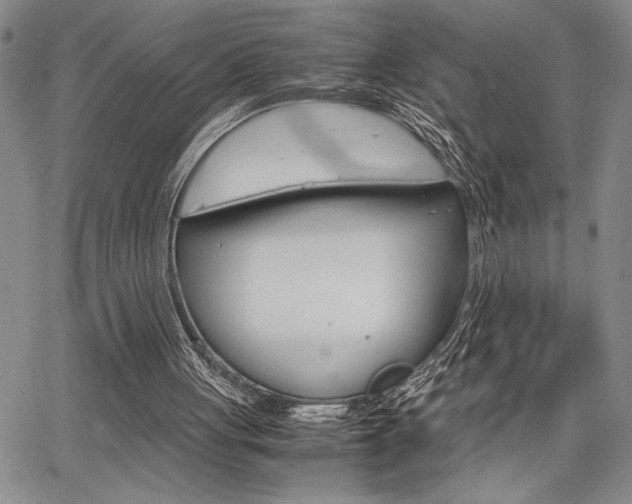 X0000067930051200604131116